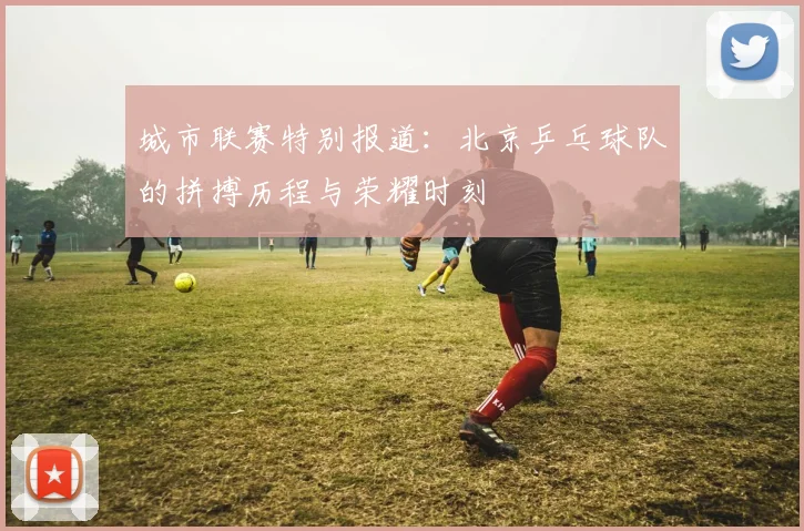 城市联赛特别报道：北京乒乓球队的拼搏历程与荣耀时刻