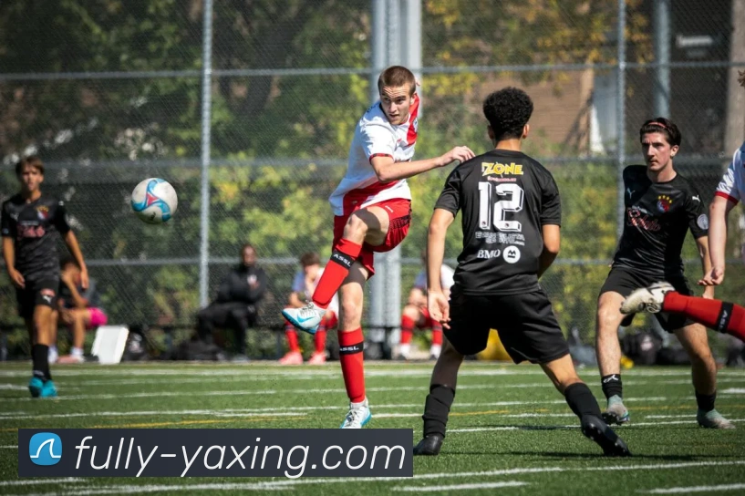 亚星官网平台生态图