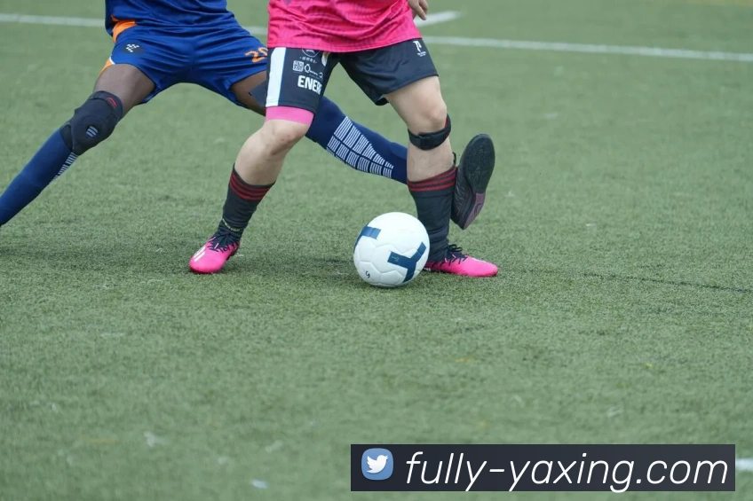 亚星官网APP 封面图